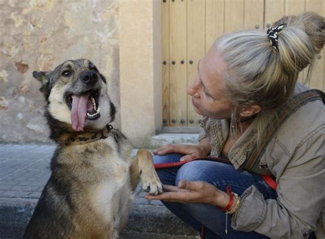 zoofilia perro grande|Hermosa rubia y su pene de perro grande